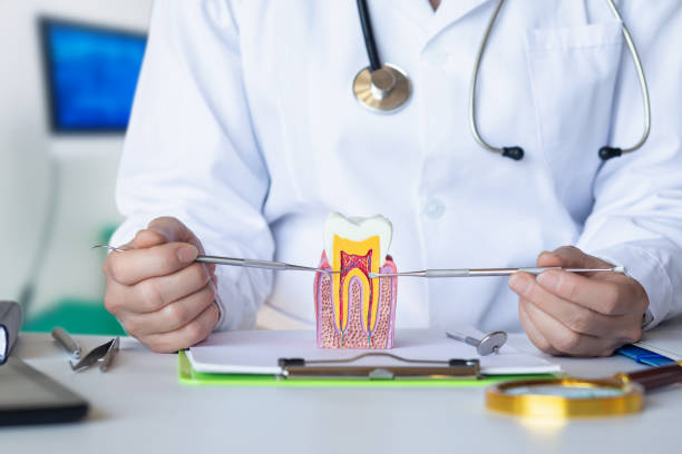 Best Emergency Dental Care for Abscessed Tooth in Centrevle, IL